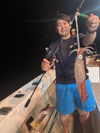 マイカ(ケンサキイカ)