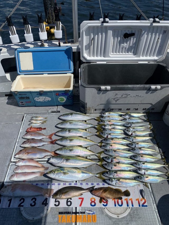 マダイ・キジハタ・アジ(マアジ)・ハマチ(ブリ)・イサキ・シロアマダイ・カサゴ・サバ(ゴマサバ)