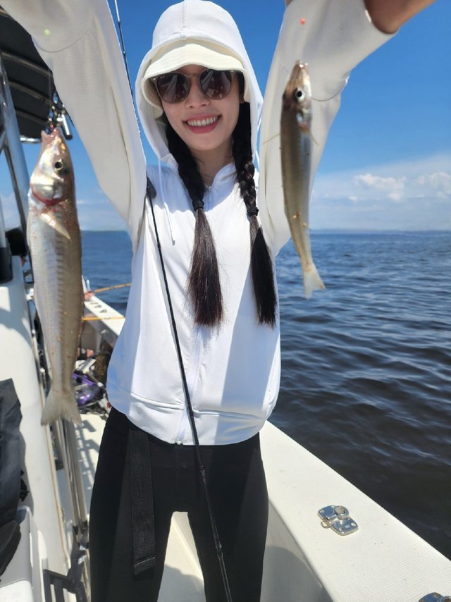 キス(シロギス)