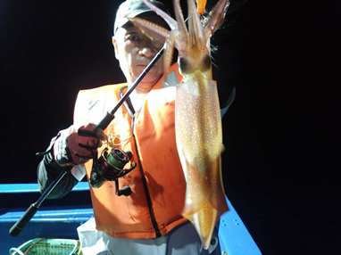 マイカ(ケンサキイカ)