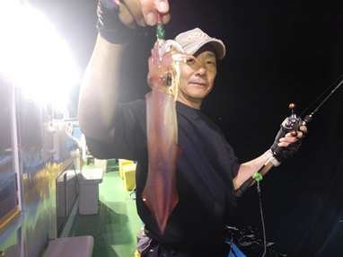 マイカ(ケンサキイカ)