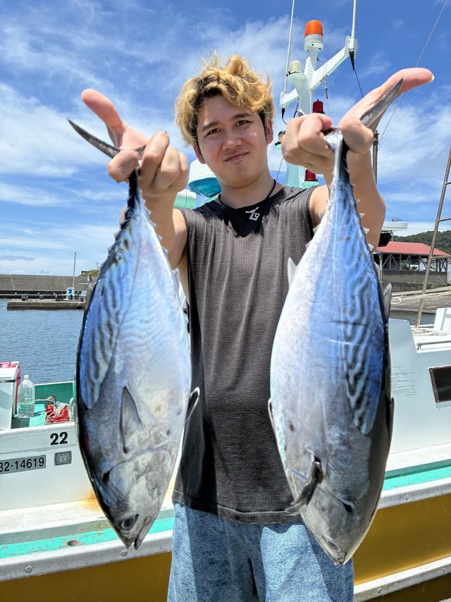 スマガツオ(スマ)