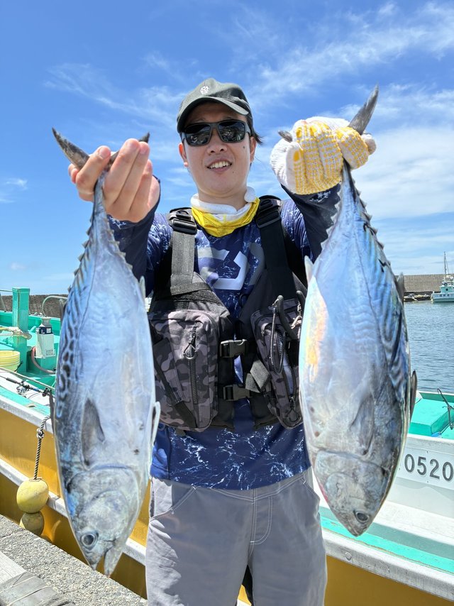 スマガツオ(スマ)