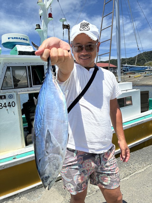 スマガツオ(スマ)