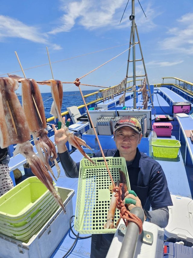 スルメ(スルメイカ)