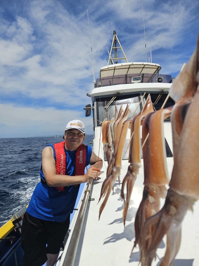 スルメ(スルメイカ)