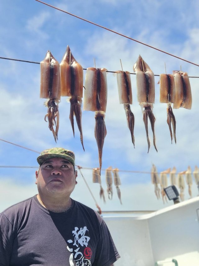 スルメ(スルメイカ)