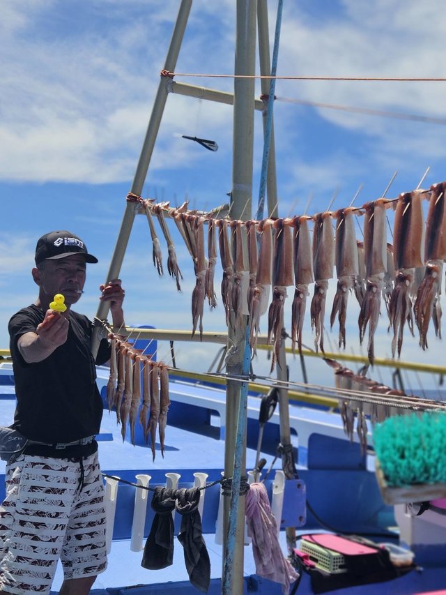 スルメ(スルメイカ)