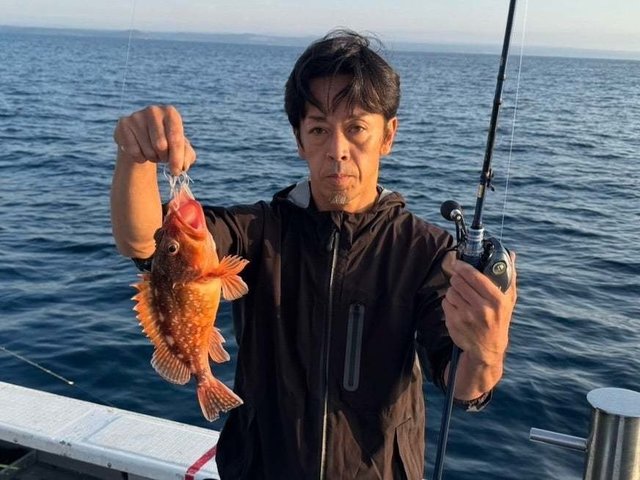 ウッカリカサゴ