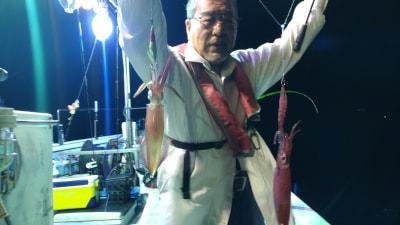 マイカ(ケンサキイカ)