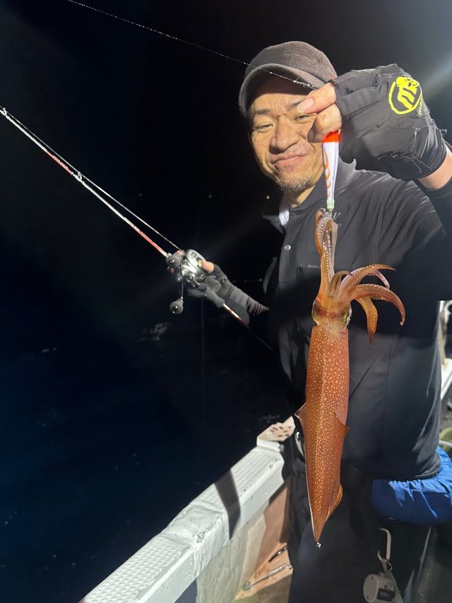 アカイカ(ケンサキイカ)