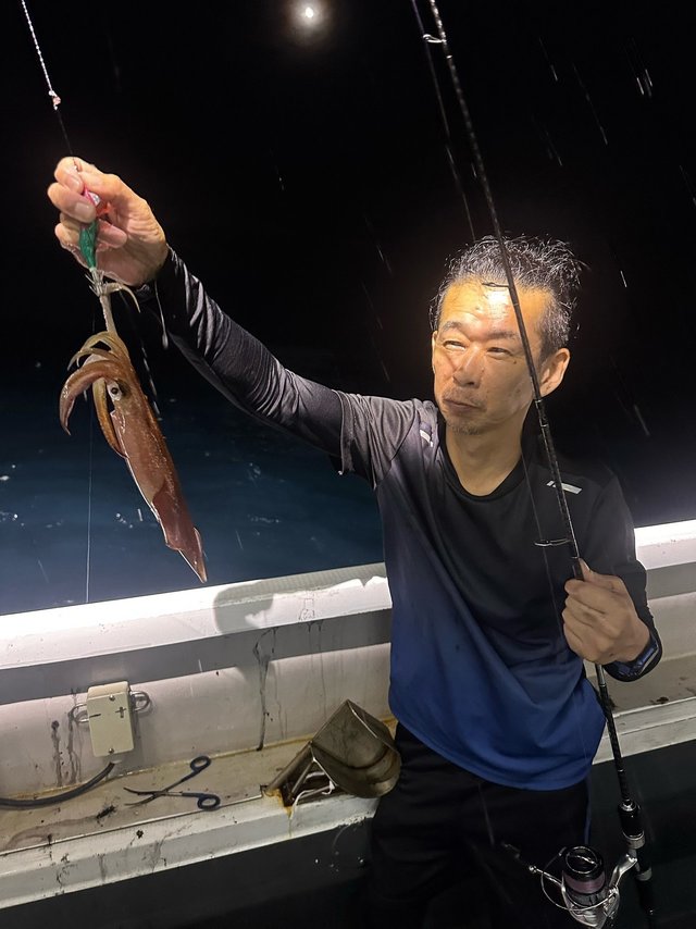 アカイカ(ケンサキイカ)