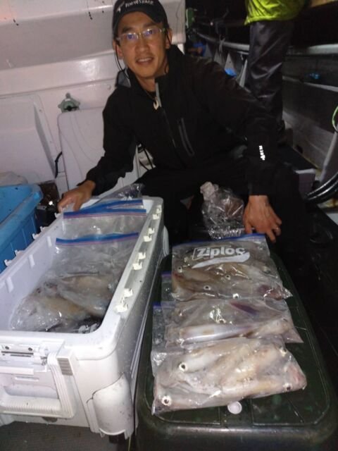 イカ(ヤリイカ)