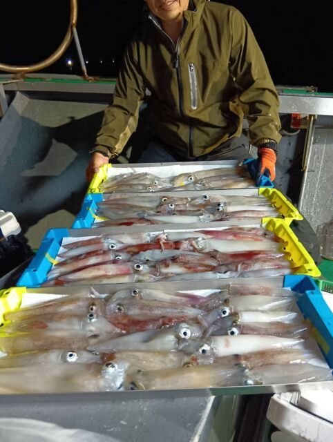 イカ(ヤリイカ)