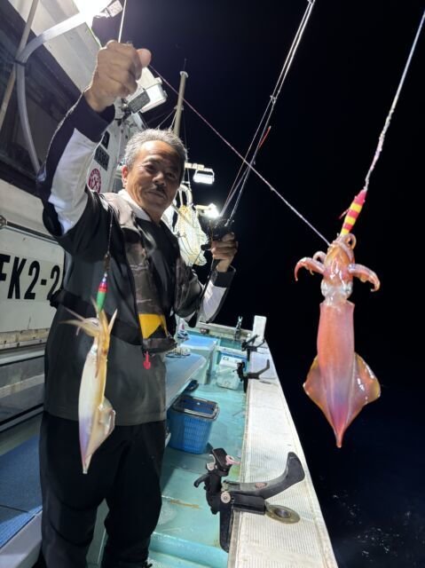 マイカ(ケンサキイカ)