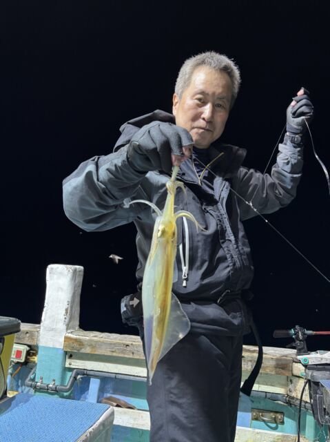 マイカ(ケンサキイカ)