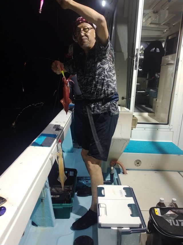 イカ(ヤリイカ)