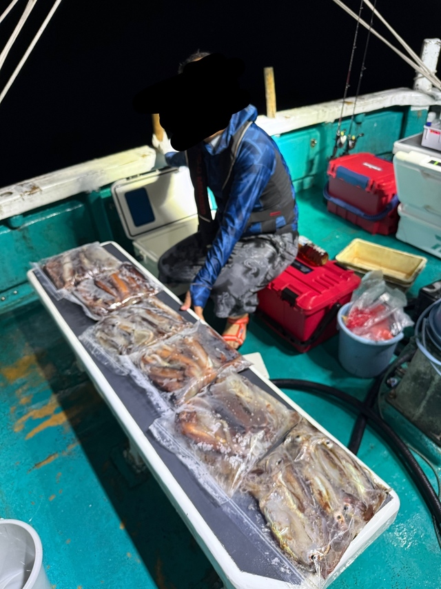 アカイカ(ケンサキイカ)・スルメイカ