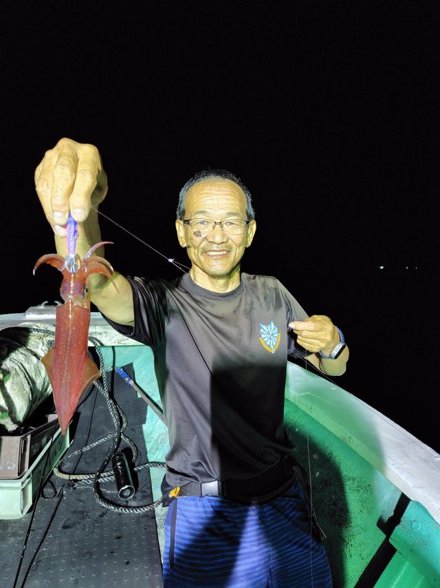 シロイカ(ケンサキイカ)