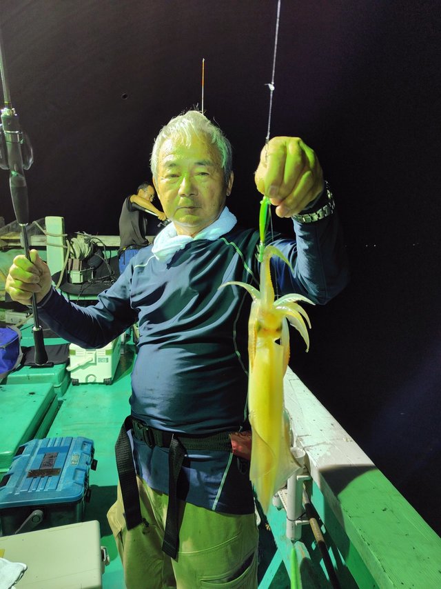 シロイカ(ケンサキイカ)