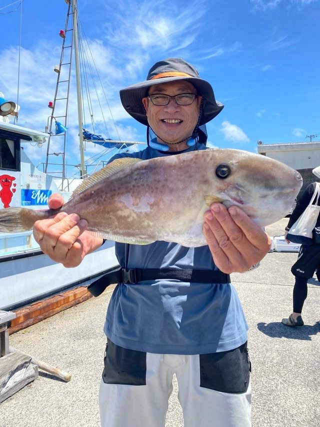 ウマ(ウマヅラハギ)