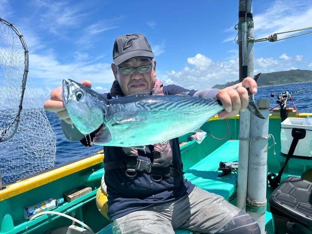 スマガツオ(スマ)