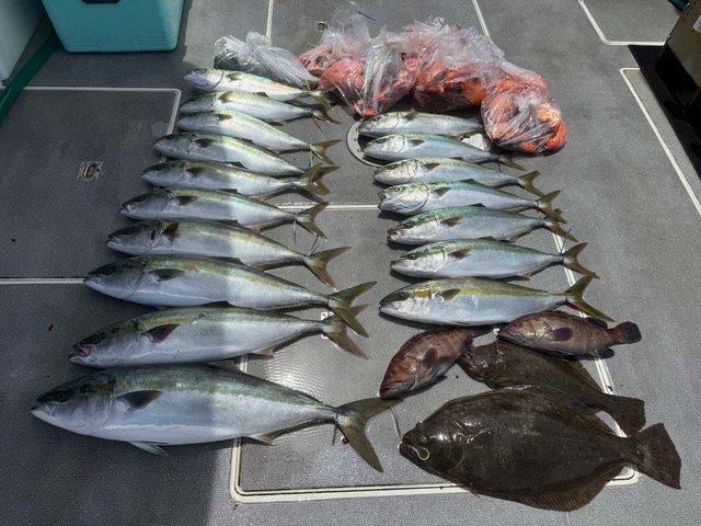 マハタ・イナダ(ブリ)・ヒラメ