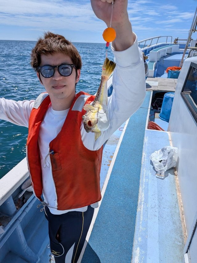 ショウサイフグ