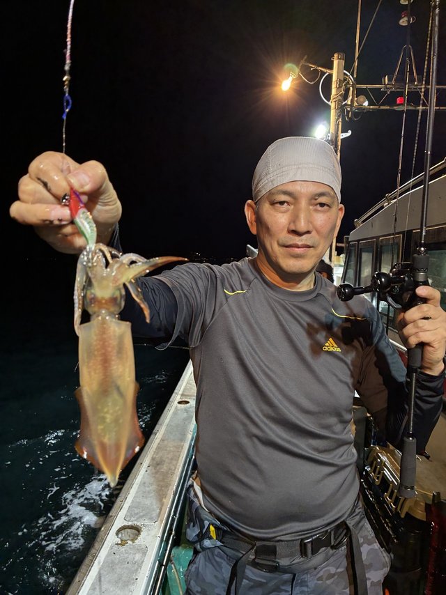 アカイカ(ケンサキイカ)