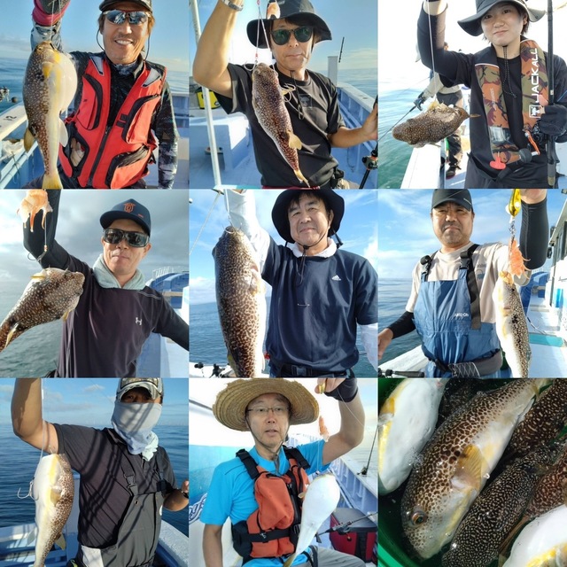 ショウサイフグ