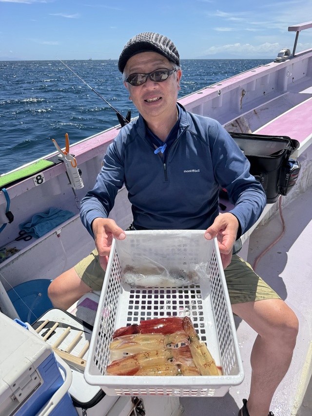 マルイカ(ケンサキイカ)