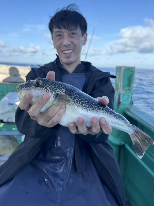 ショウサイフグ