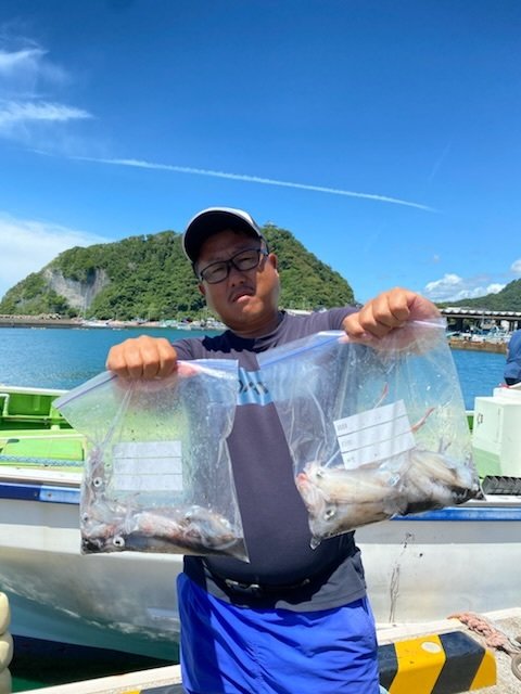 マルイカ(ケンサキイカ)