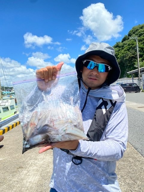 マルイカ(ケンサキイカ)