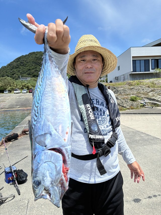 スマガツオ(スマ)