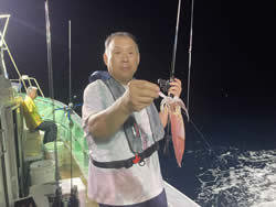 アカイカ(ケンサキイカ)