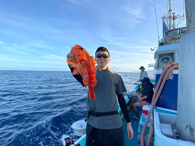 カンコ(ウッカリカサゴ)