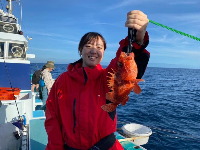 カンコ(ウッカリカサゴ)