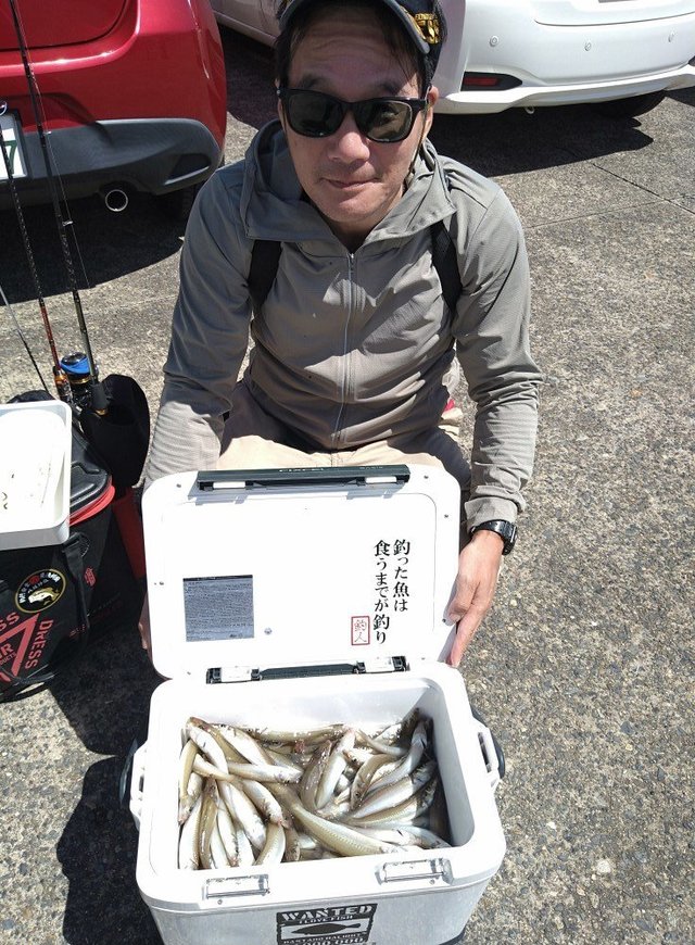 キス(シロギス)