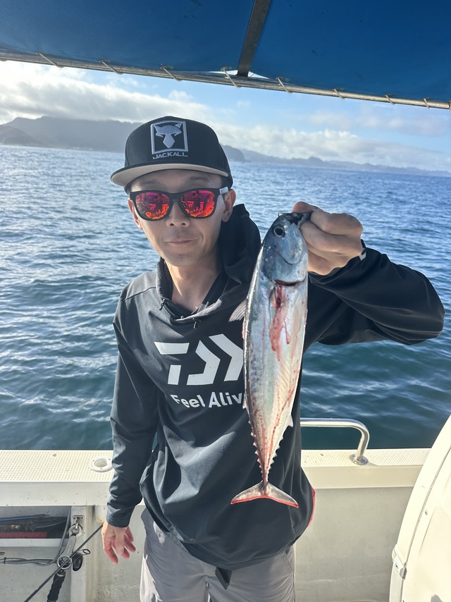 ソーダカツオ(ヒラソウダ)