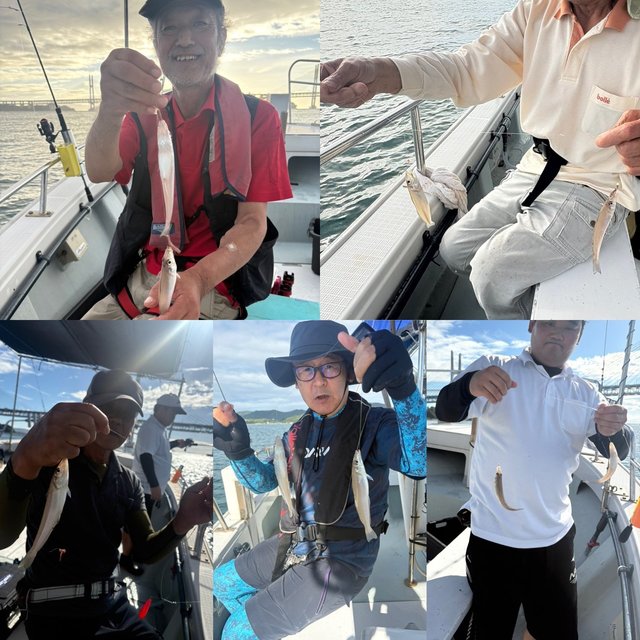 キス(シロギス)