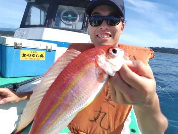 イトヨリ(イトヨリダイ)