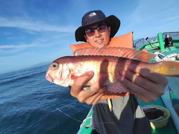 アマダイ(アカアマダイ)