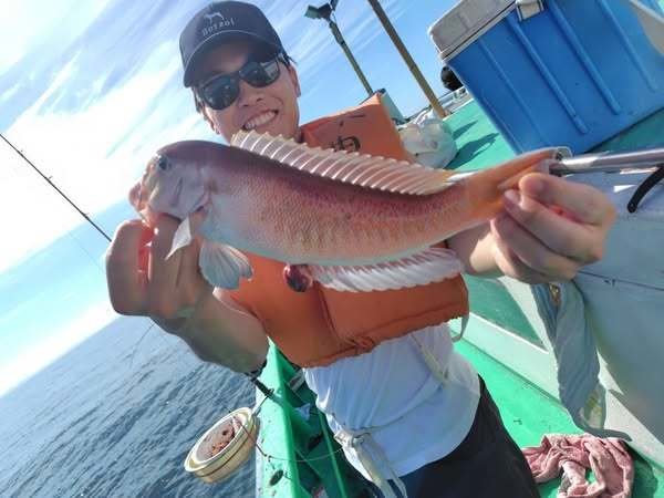 アマダイ(アカアマダイ)