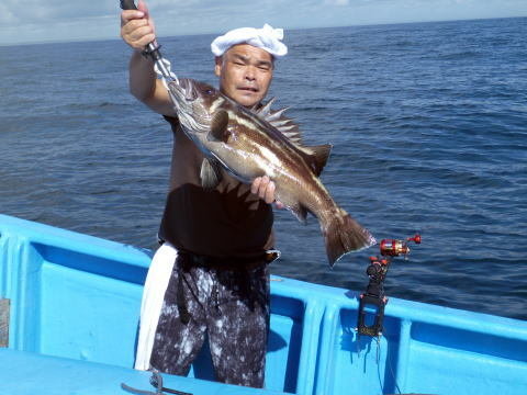 イシナギ(オオクチイシナギ)