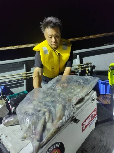 イカ(ヤリイカ)