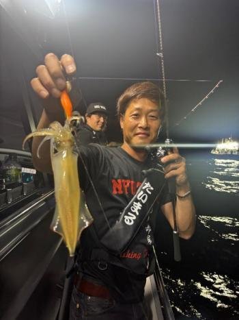 マイカ(ケンサキイカ)