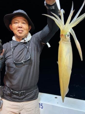 マイカ(ケンサキイカ)