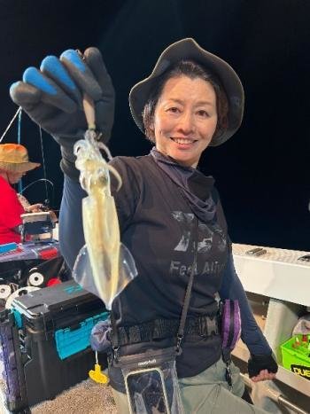 マイカ(ケンサキイカ)