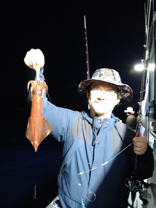 ケンサキ(ケンサキイカ)